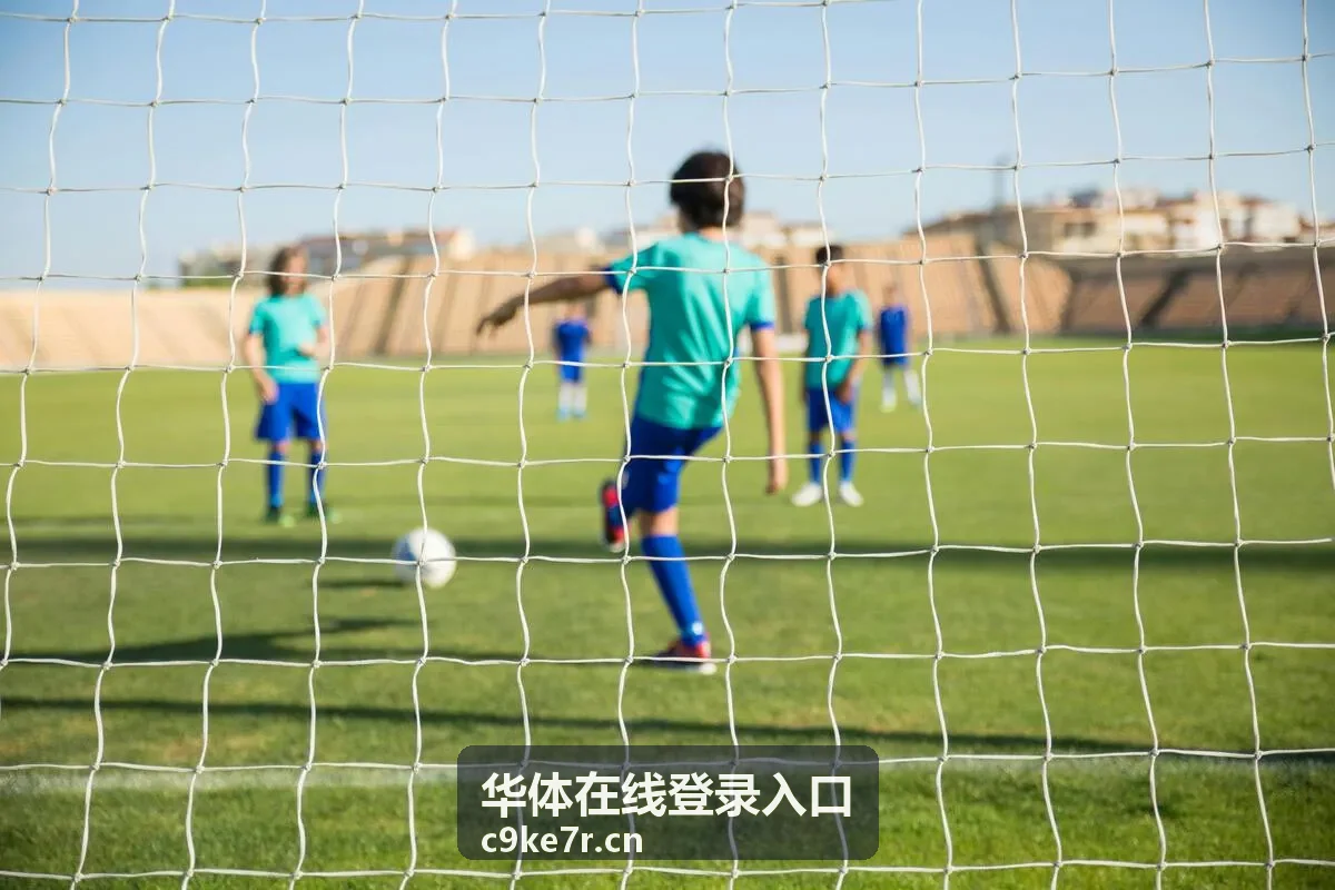 华体在线登录入口登录异常自查方法
